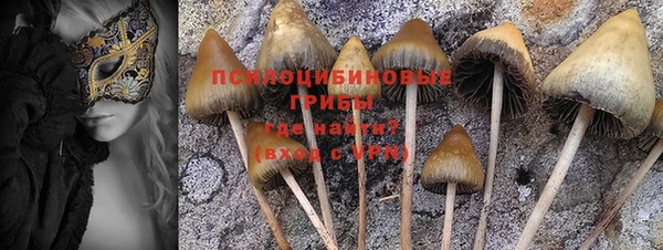 тгк Ахтубинск